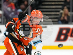 Mammoth Ducks Hockey