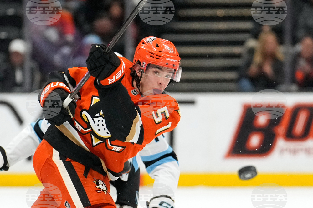 Mammoth Ducks Hockey