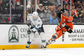 Mammoth Ducks Hockey