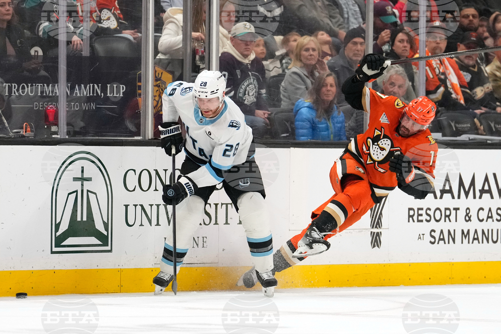 Mammoth Ducks Hockey