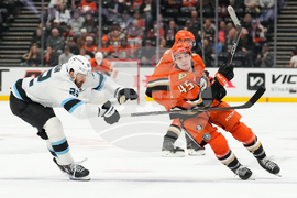 Mammoth Ducks Hockey