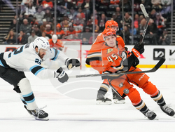 Mammoth Ducks Hockey