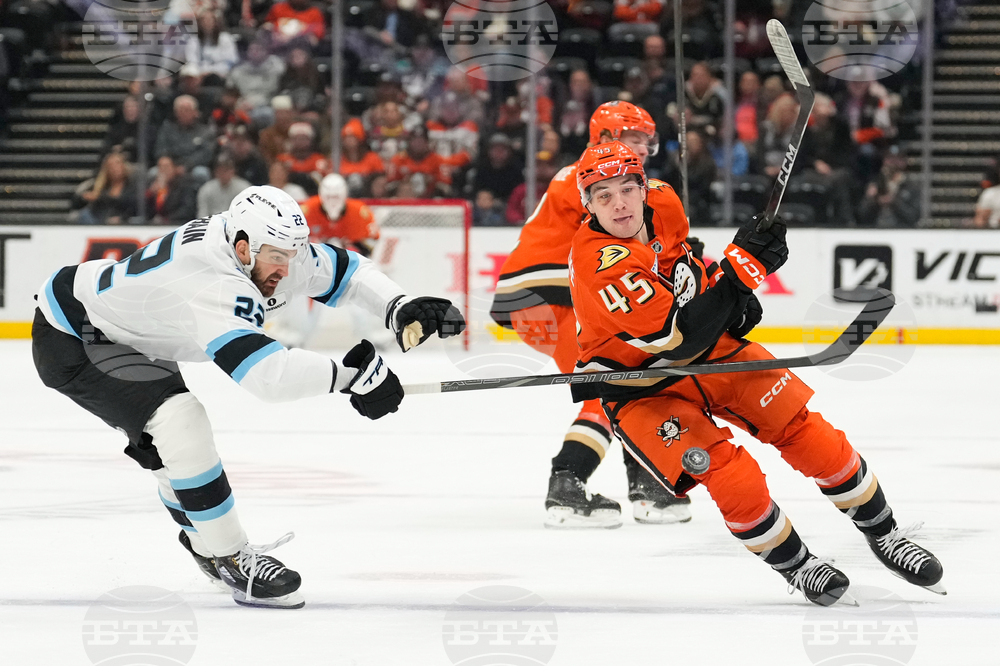 Mammoth Ducks Hockey