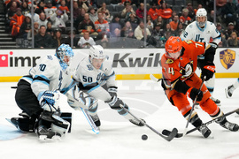 Mammoth Ducks Hockey