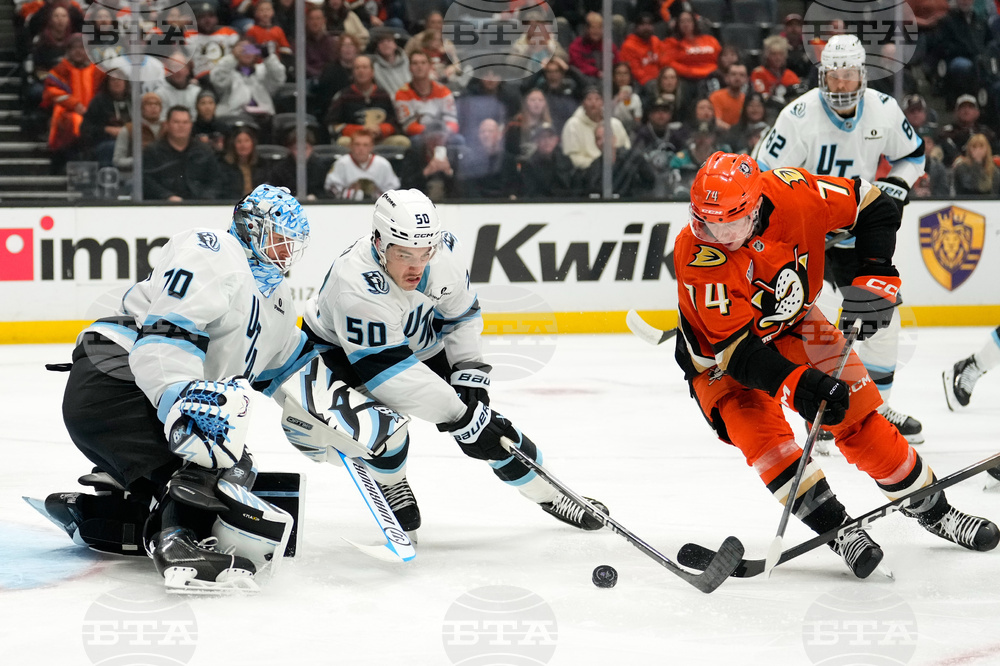 Mammoth Ducks Hockey