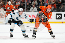 Mammoth Ducks Hockey