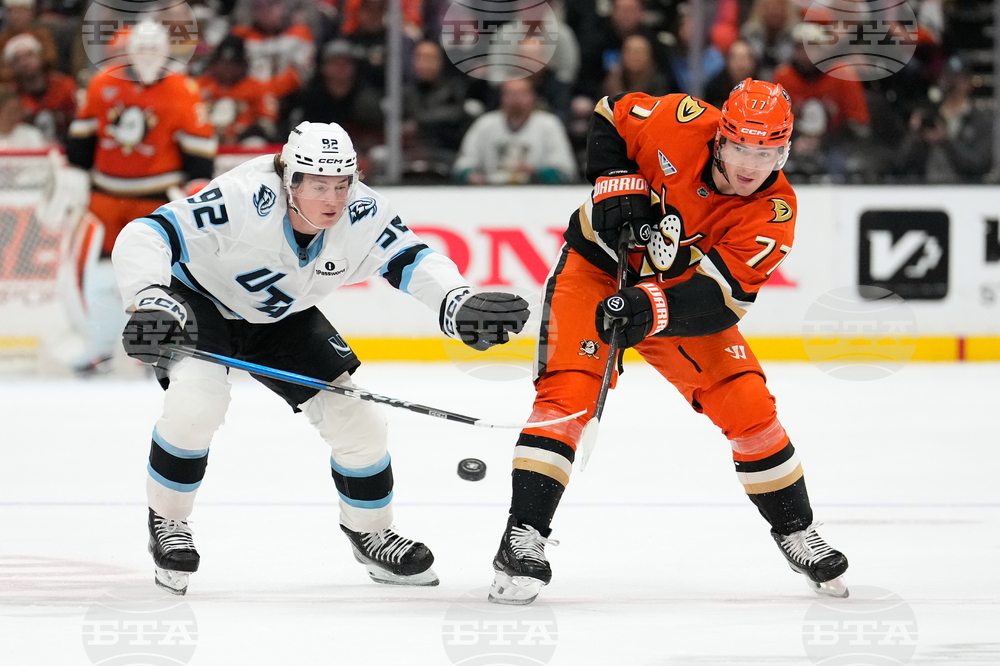 Mammoth Ducks Hockey