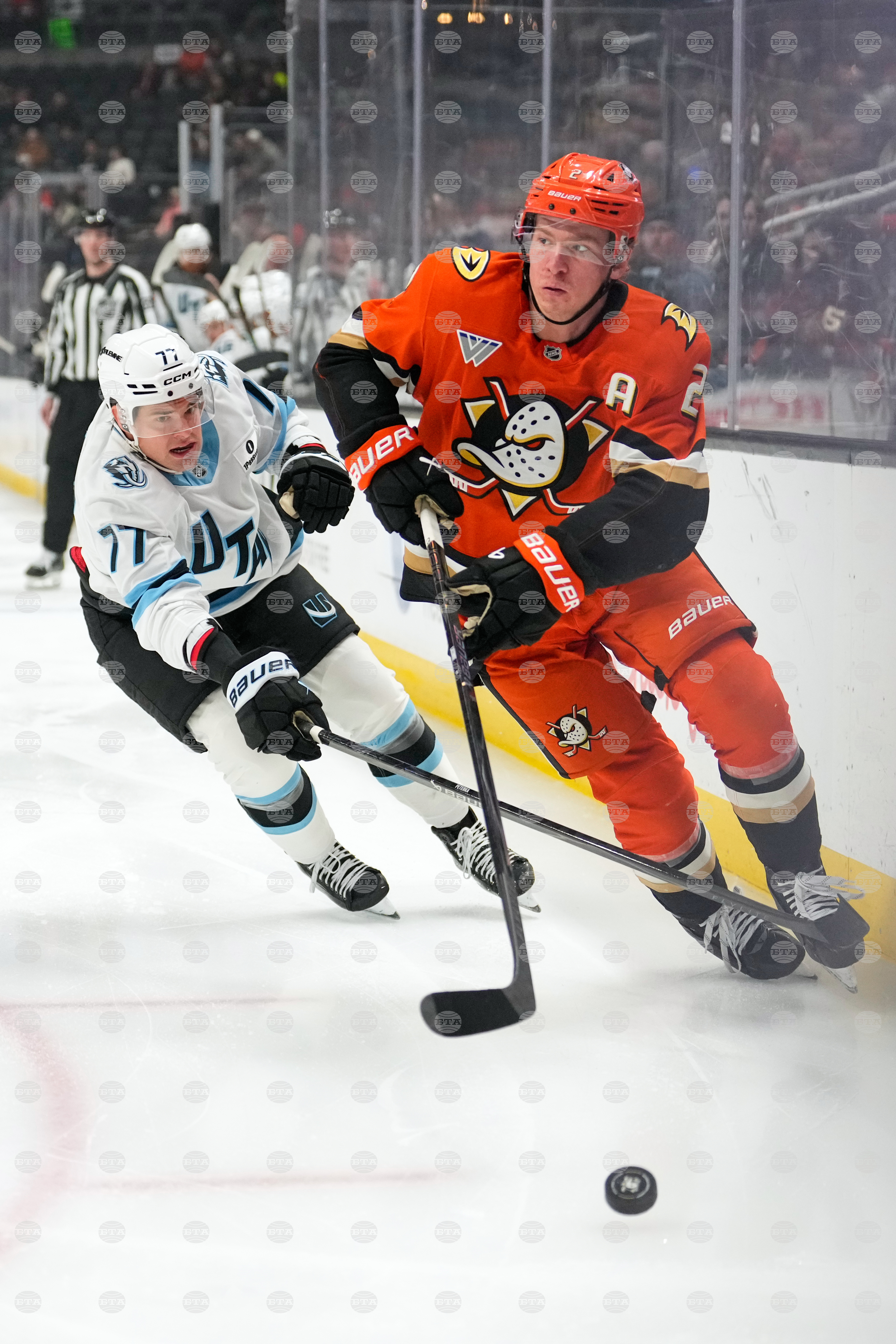 Mammoth Ducks Hockey