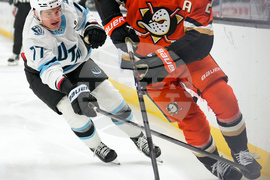 Mammoth Ducks Hockey