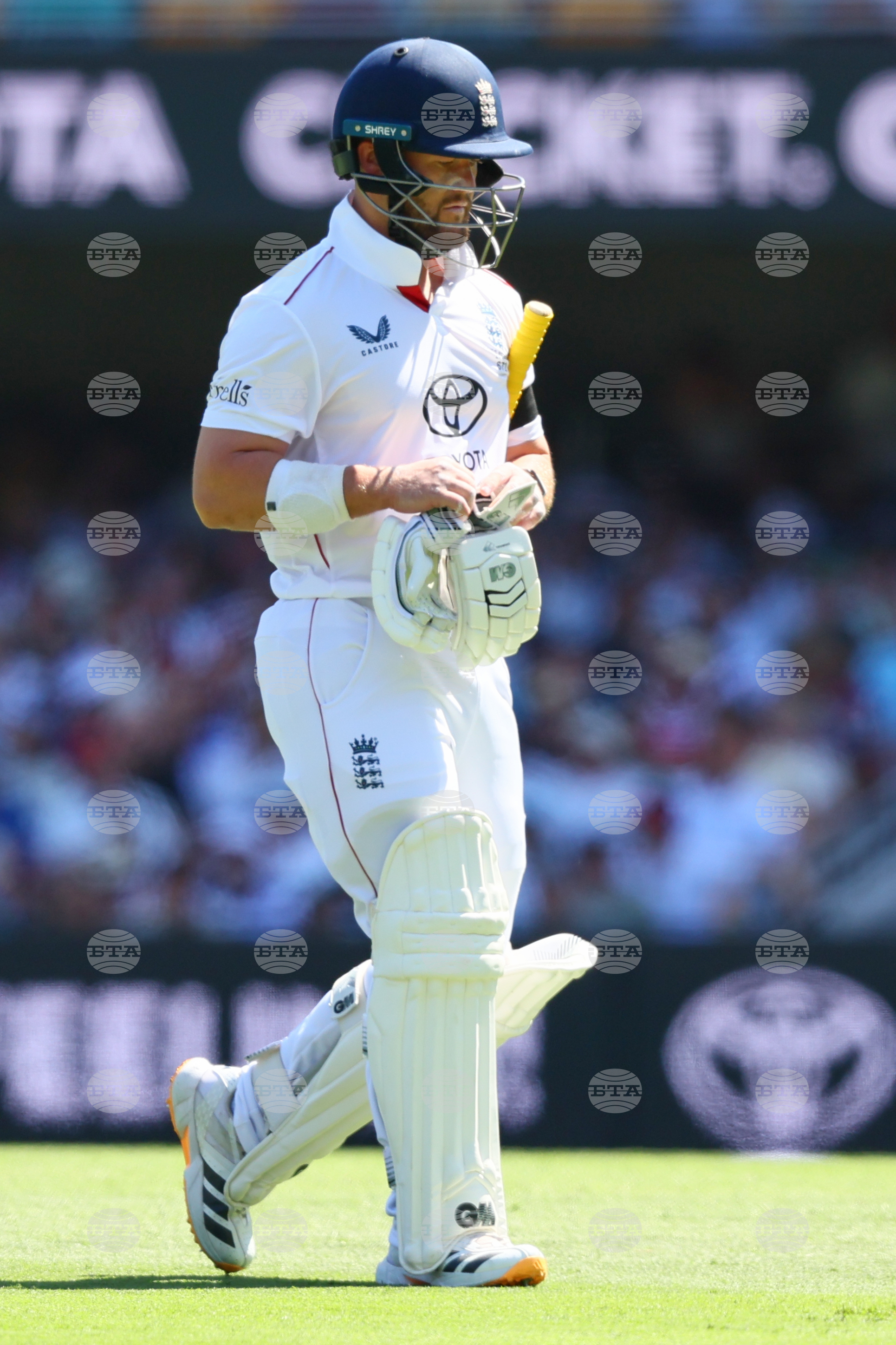 Australia England Cricket