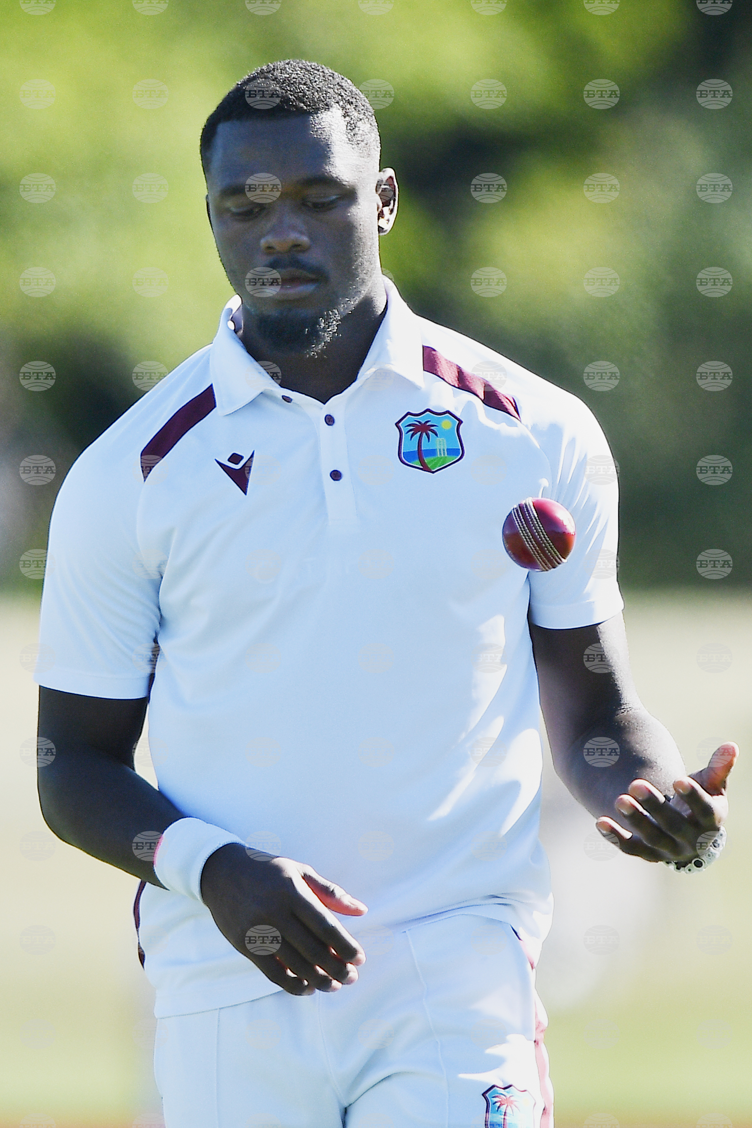 New Zealand West Indies Cricket