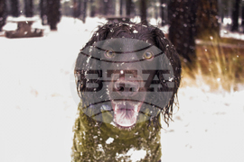 Be Well Winter Pet Care