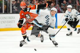 Mammoth Ducks Hockey