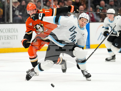 Mammoth Ducks Hockey