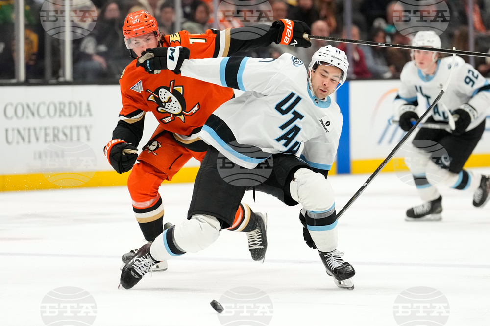 Mammoth Ducks Hockey