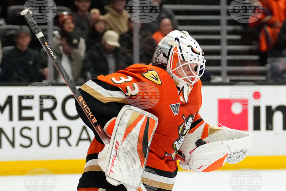 Mammoth Ducks Hockey