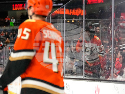 Mammoth Ducks Hockey