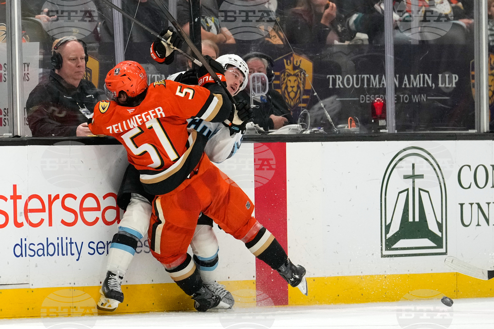 Mammoth Ducks Hockey