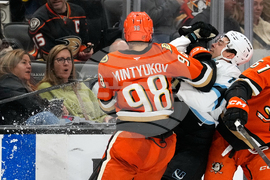 Mammoth Ducks Hockey