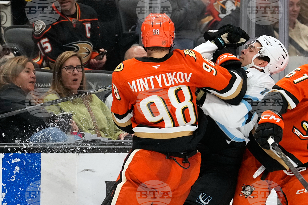 Mammoth Ducks Hockey