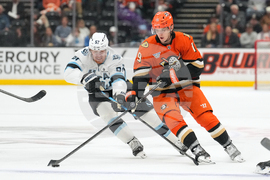 Mammoth Ducks Hockey