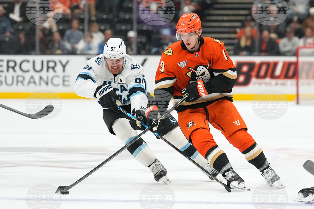 Mammoth Ducks Hockey