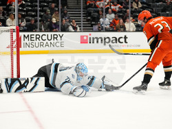 Mammoth Ducks Hockey