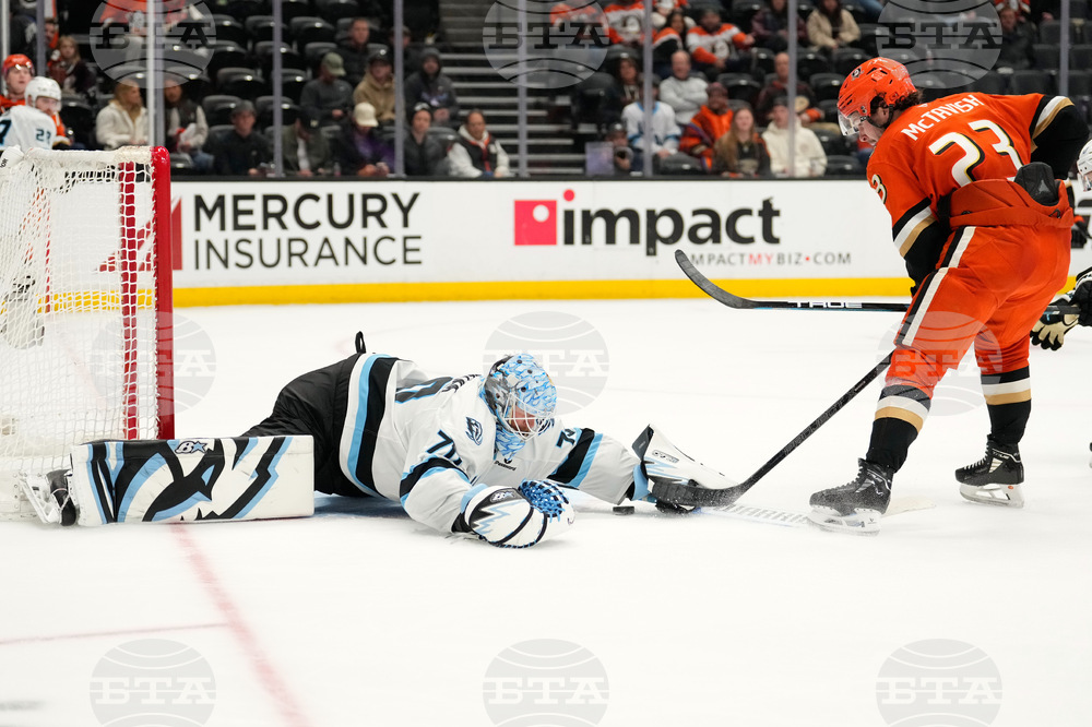 Mammoth Ducks Hockey