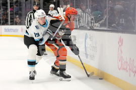 Mammoth Ducks Hockey