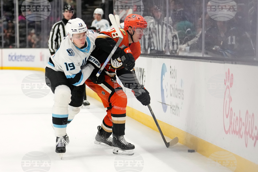 Mammoth Ducks Hockey