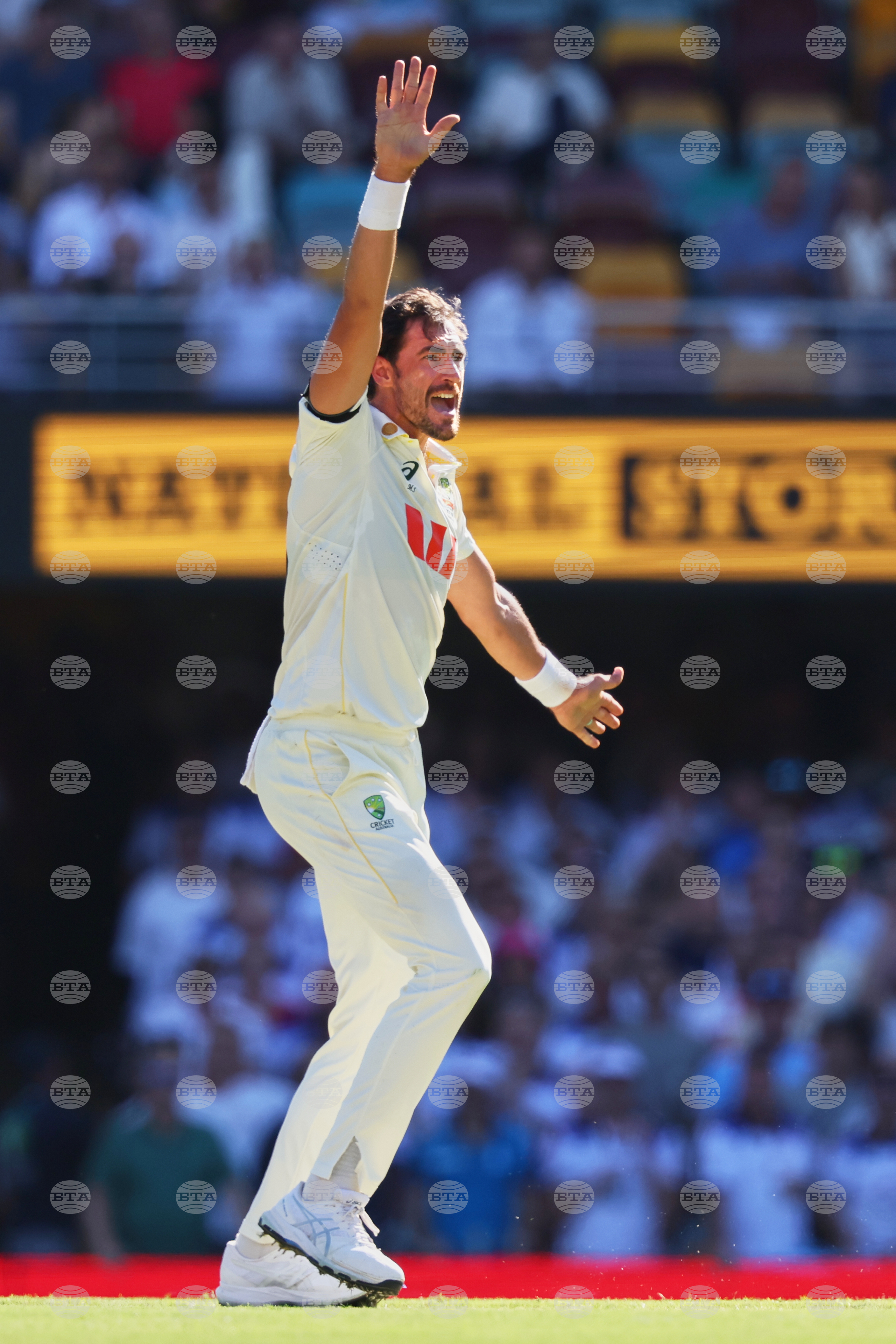 Australia England Cricket