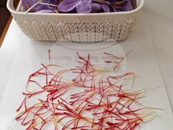 Смолян - шафран