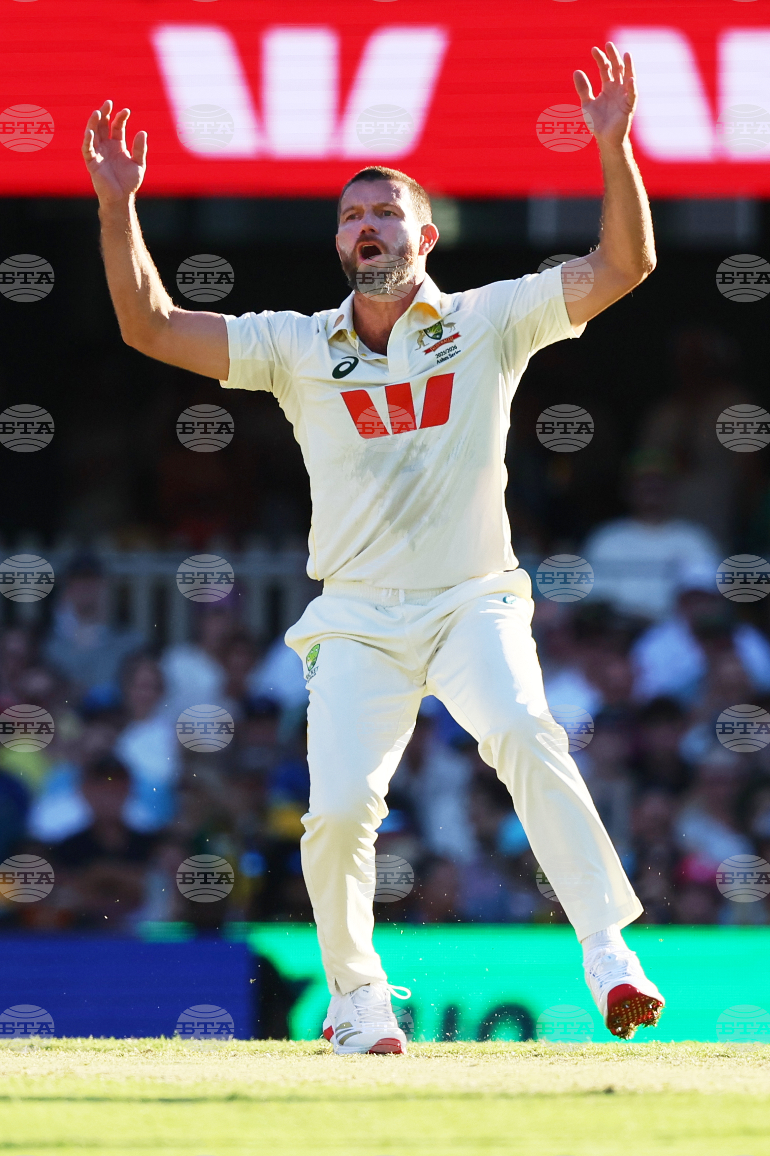 Australia England Cricket