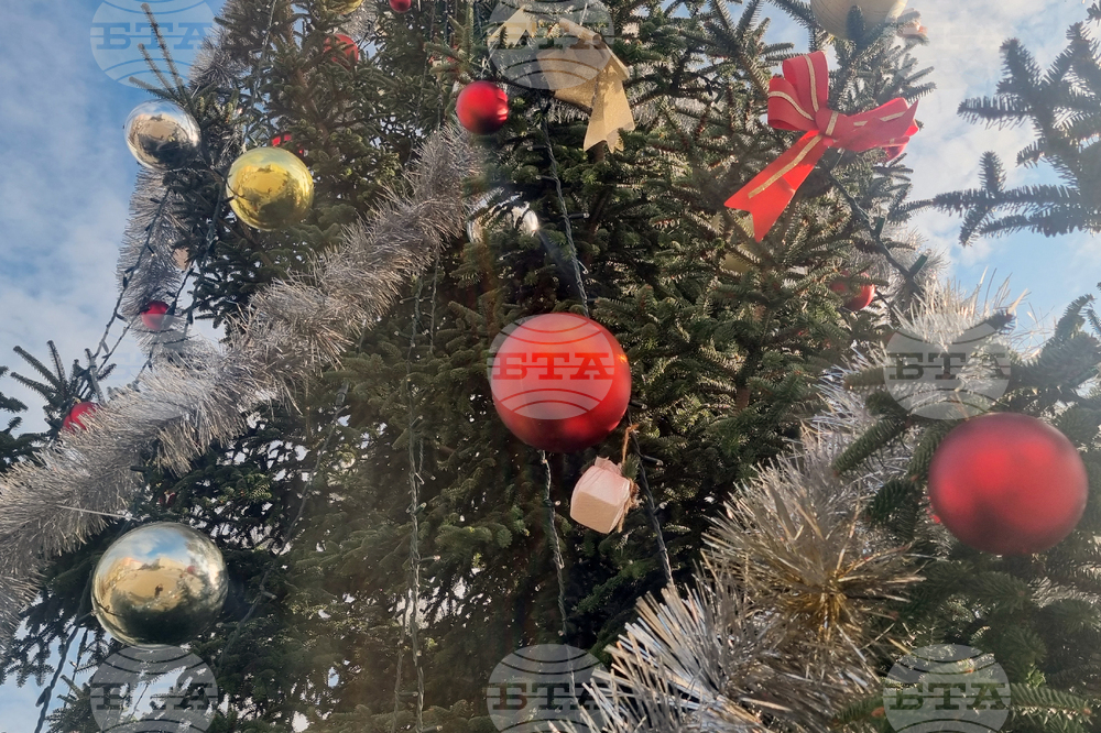 Коледната елха преминава от езически вярвания до глобална традиция 