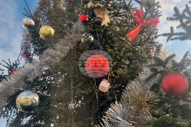 Коледната елха преминава от езически вярвания до глобална традиция 