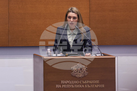 Народно събрание - заседание