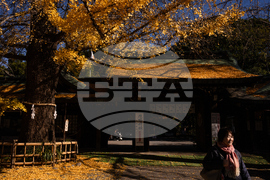 Japan Autumn Daily Life