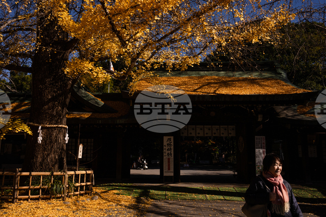 Japan Autumn Daily Life