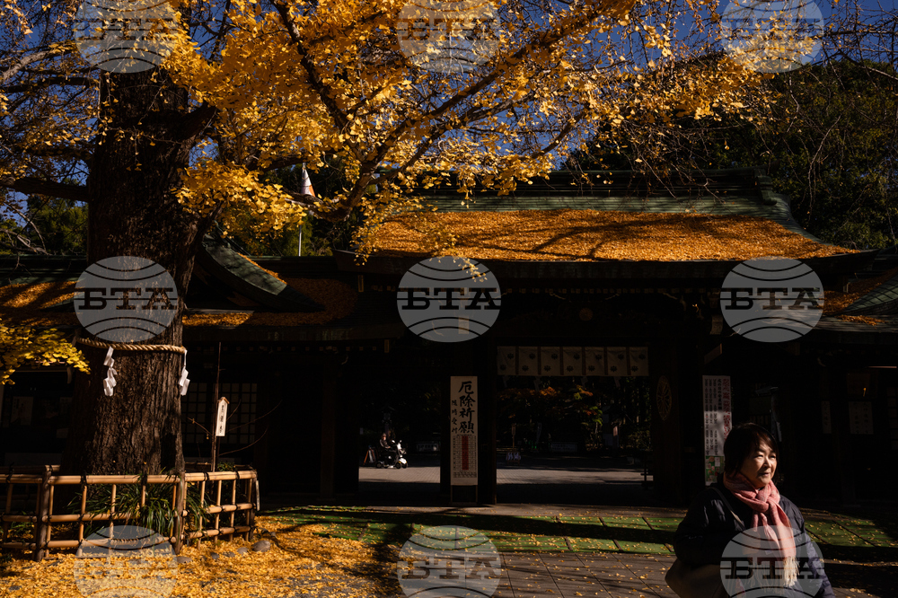 Japan Autumn Daily Life