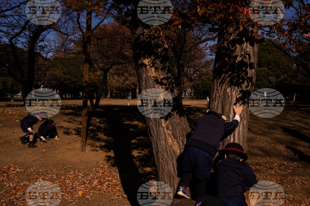 Japan Autumn Daily Life