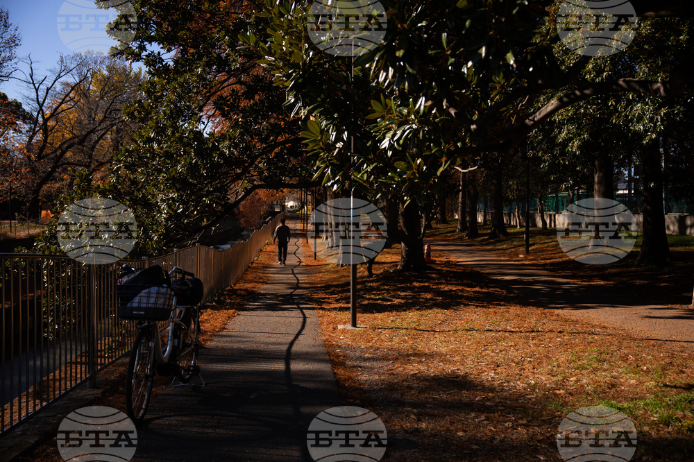 Japan Autumn Daily Life