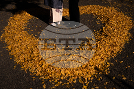 Japan Autumn Daily Life