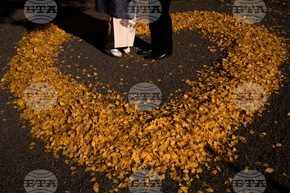 Japan Autumn Daily Life