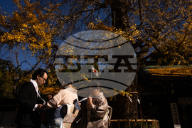 Japan Autumn Daily Life