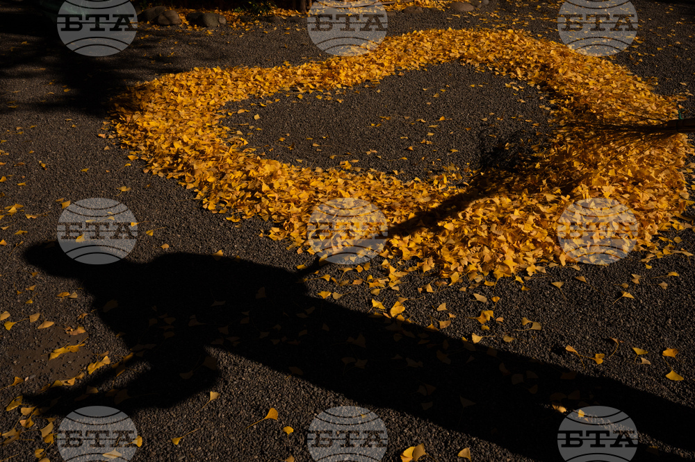 Japan Autumn Daily Life