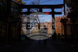 Japan Autumn Daily Life