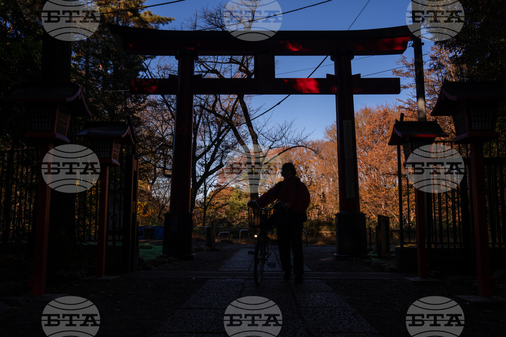 Japan Autumn Daily Life