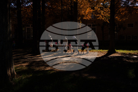 Japan Autumn Daily Life