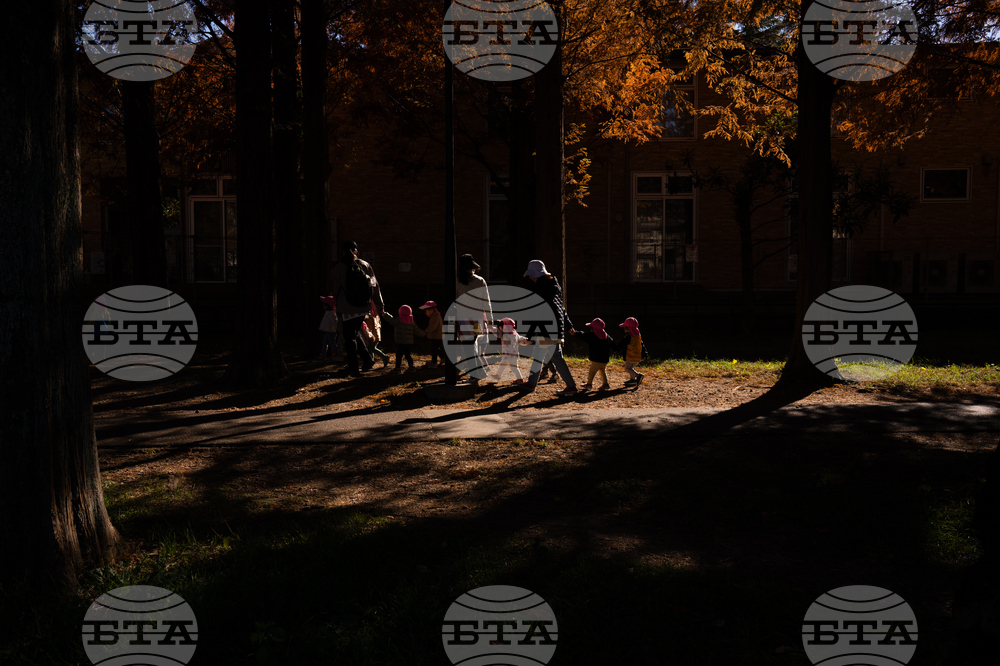 Japan Autumn Daily Life