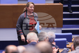 Народно събрание - заседание